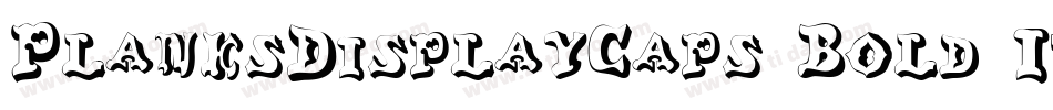 PlanksDisplayCaps Bold Italic字体转换